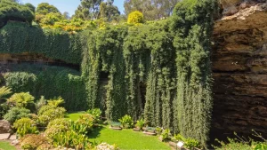 Buying Land in Lifestyle Estates Mount Gambier